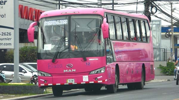 King Long XMQ6133G